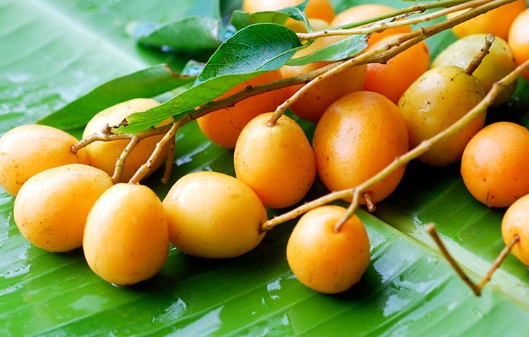 The Humble “Yellow Mombin” With Mighty Powers